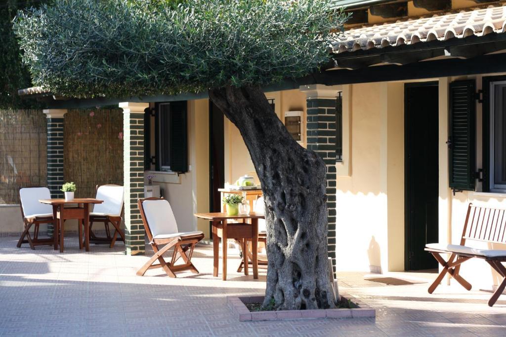 Akis Apartments Παλαιοκαστρίτσα Εξωτερικό φωτογραφία
